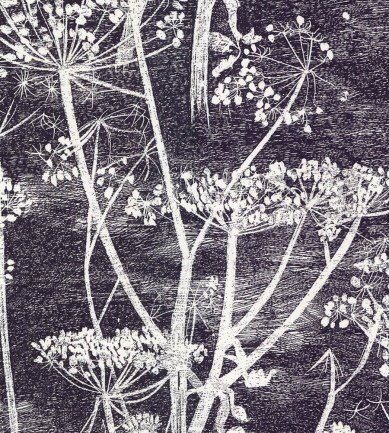 Cole and Son Cow Parsley 66-7046 tapéta - Paisley Home