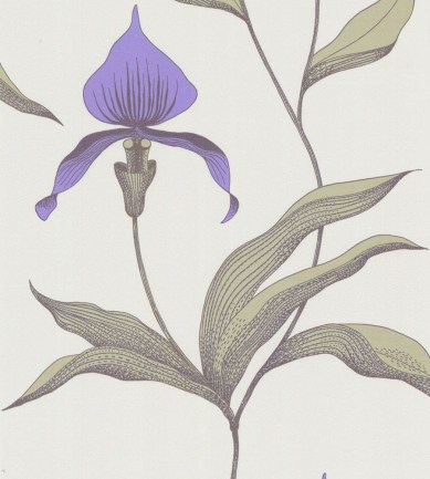 Cole and Son Orchid 66-4024 tapéta - Paisley Home