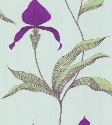 Cole and Son Orchid 66-4027 tapéta - Paisley Home