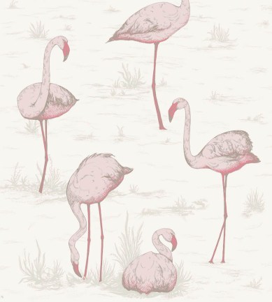 Cole and Son Flamingos 95-8045 tapéta - Paisley Home