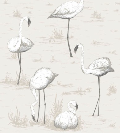 Cole and Son Flamingos 95-8046 tapéta - Paisley Home