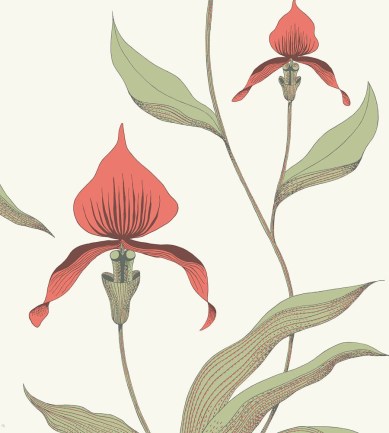 Cole and Son Orchid 95-10054 tapéta - Paisley Home