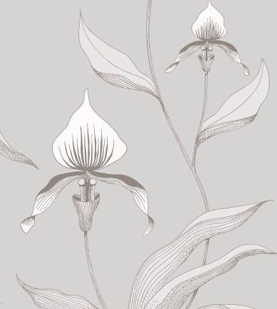 Cole and Son Orchid 95-10055 tapéta - Paisley Home