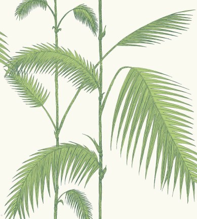Cole and Son Palm 95-1009 tapéta - Paisley Home