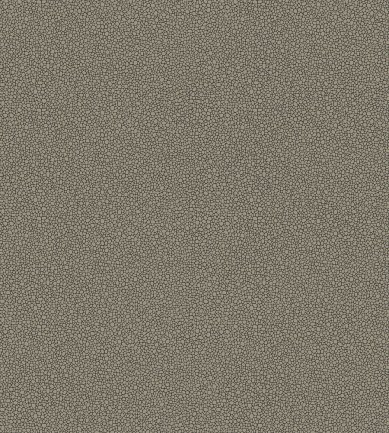 Cole and Son Goldstone 107-9043 tapéta - Paisley Home
