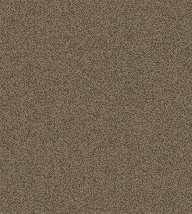 Cole and Son Goldstone 107-9044 tapéta - Paisley Home