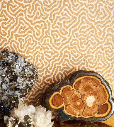 Cole and Son Vermicelli 107-4022 tapéta - Paisley Home