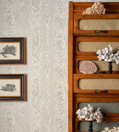 Cole and Son Wood Grain 107-10046 tapéta - Paisley Home