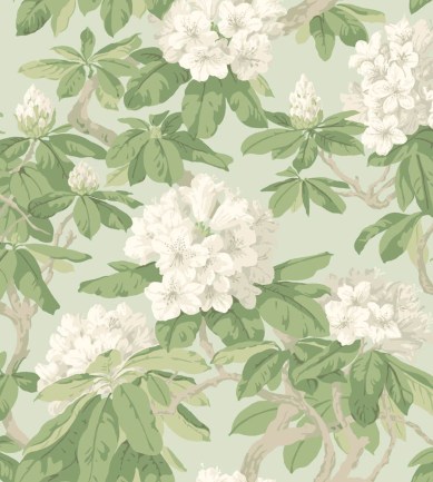 Cole and Son Bourlie 99-4022 tapéta - Paisley Home