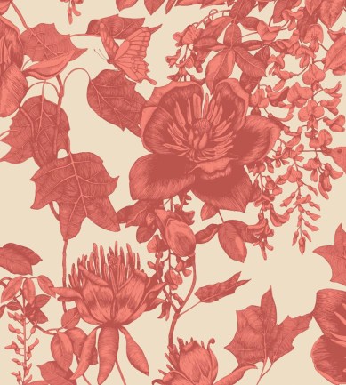 Cole and Son Tivoli 99-7033 tapéta - Paisley Home
