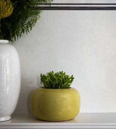 Cole and Son Trianon 99-11048 tapéta - Paisley Home