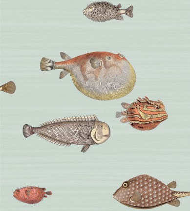 Cole and Son Acquario 97/10030 tapéta