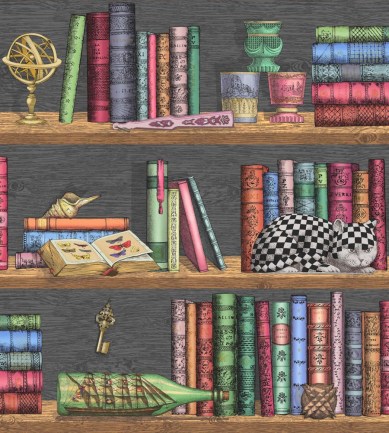Cole and Son Libreria Rich Multi tapéta