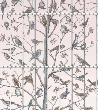 Cole and Son Uccelli 114/11022 tapéta
