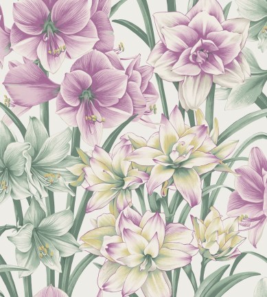 Cole and Son Exotiks 98-6024 tapéta - Paisley Home