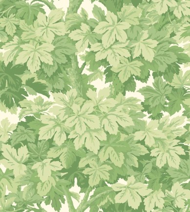 Cole and Son Great Vine 98-10045 tapéta - Paisley Home