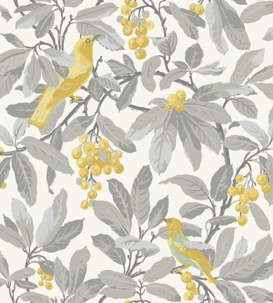 Cole and Son Royal Garden 98-1003 tapéta - Paisley Home