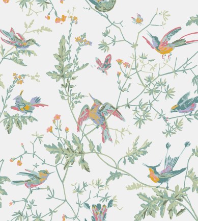 Cole and Son Hummingbirds 112-4016 tapéta - Paisley Home