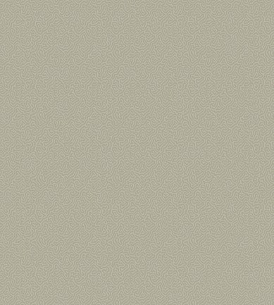 Cole and Son Coral 106-5073 tapéta - Paisley Home