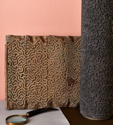 Cole and Son Coral 106-5075 tapéta - Paisley Home