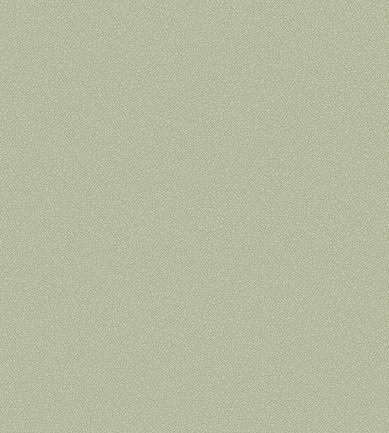 Cole and Son Pebble 106-2027 tapéta - Paisley Home