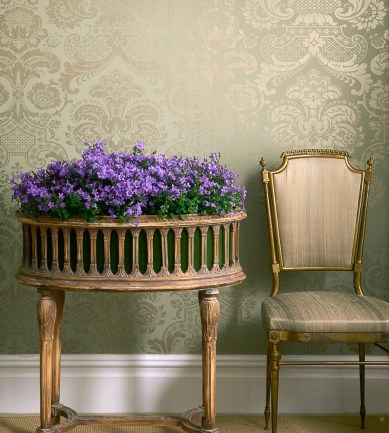 Cole and Son Carmen 108-2006 tapéta - Paisley Home