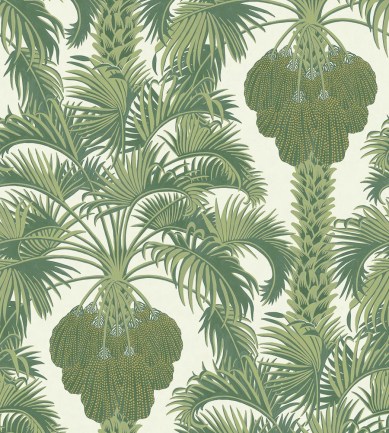 Cole & Son Hollywood Palm Leaf Green tapéta - Paisley Home