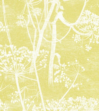 Cole and Son Cow Parsley 66-7051 tapéta