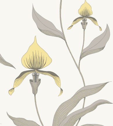 Cole and Son Orchid 95-10057 tapéta