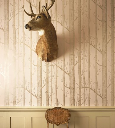Cole and Son Woods 103-5024 tapéta - Paisley Home