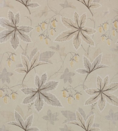Colefax and Fowler Lindon Silver tapéta - Paisley Home