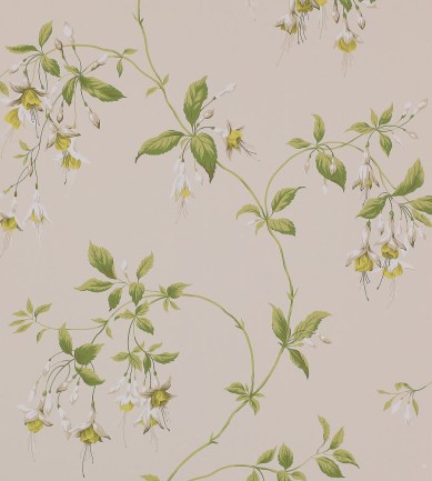 Colefax and Fowler Octavia Leaf Green tapéta - Paisley Home