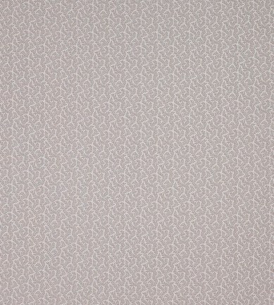 Colefax and Fowler Blythe Silver textil - Paisley Home