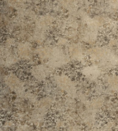 Creations Metaphores Discovery 71297-002 textil