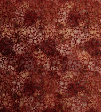 Creations Metaphores Discovery 71297-005 textil