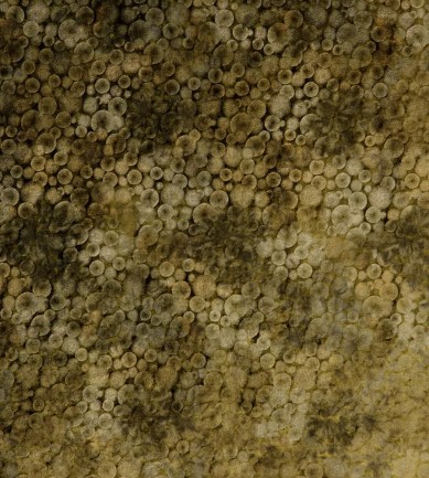 Creations Metaphores Discovery 71297-006 textil