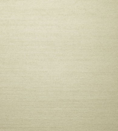 Dedar Alter Ego Metallo W 10 Ivory Brinatura Argento luxus tapéta