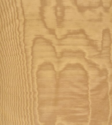 Dedar Amoir Fou Wall 20 Toffee luxus tapéta