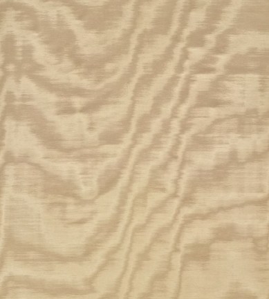 Dedar Amoir Fou Wall 5 Dorato luxus tapéta