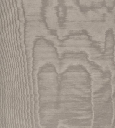 Dedar Amoir Fou Wall 7 Taupe luxus tapéta