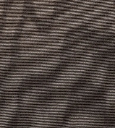 Dedar Amoir Libre 20 Taupe luxus textil