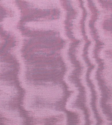 Dedar Amoir Libre Wp 026 Parme luxus tapéta