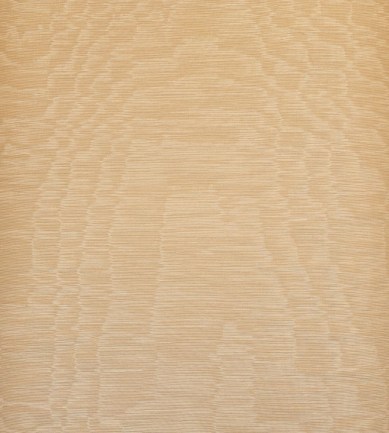 Dedar Iris Wall 23 Rosa luxus tapéta