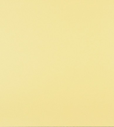 Delius Colourline 2559 textil - Paisley Home