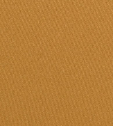 Delius Dimout 300 2561 textil - Paisley Home