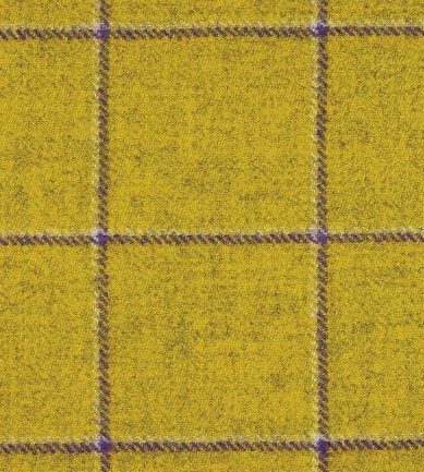 Delius Glasgow 2004 textil - Paisley Home