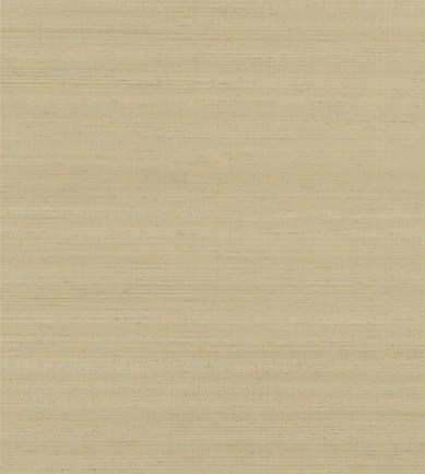 Designers Guild Chinon Flax tapéta