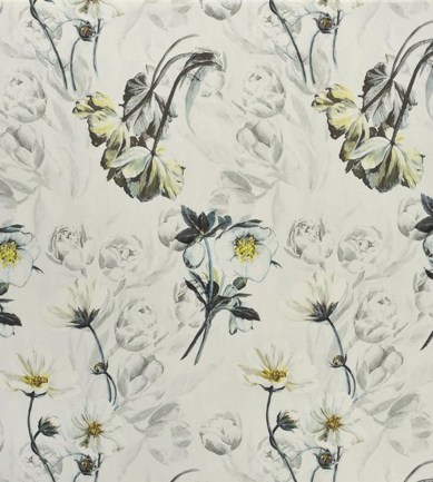 Designers Guild Pomander Noir textil - Paisley Home