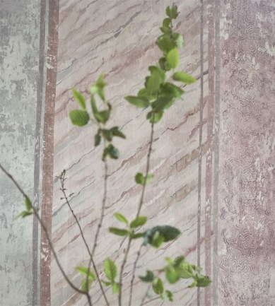 Paisley Home - Designers Guild tapéták teljes választéka