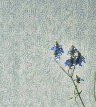 Paisley Home - Designers Guild tapéták teljes választéka